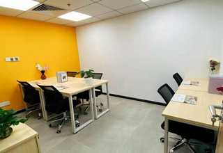 南通圣马可艺术涂料优势