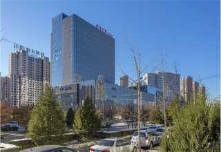 义乌国际快递到冰岛哪家好