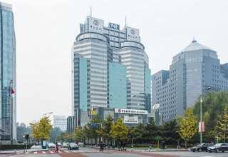 贵州天然乌鱼位置