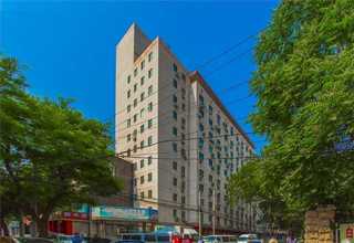 辽宁比较好的宠物休闲食品